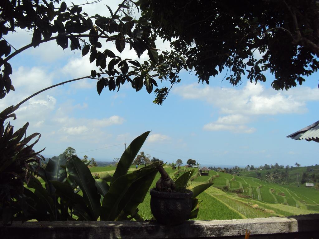 Teras Subak Jatiluwih Appartement Buitenkant foto