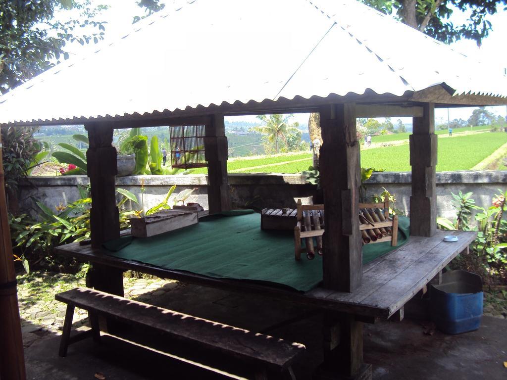 Teras Subak Jatiluwih Appartement Buitenkant foto