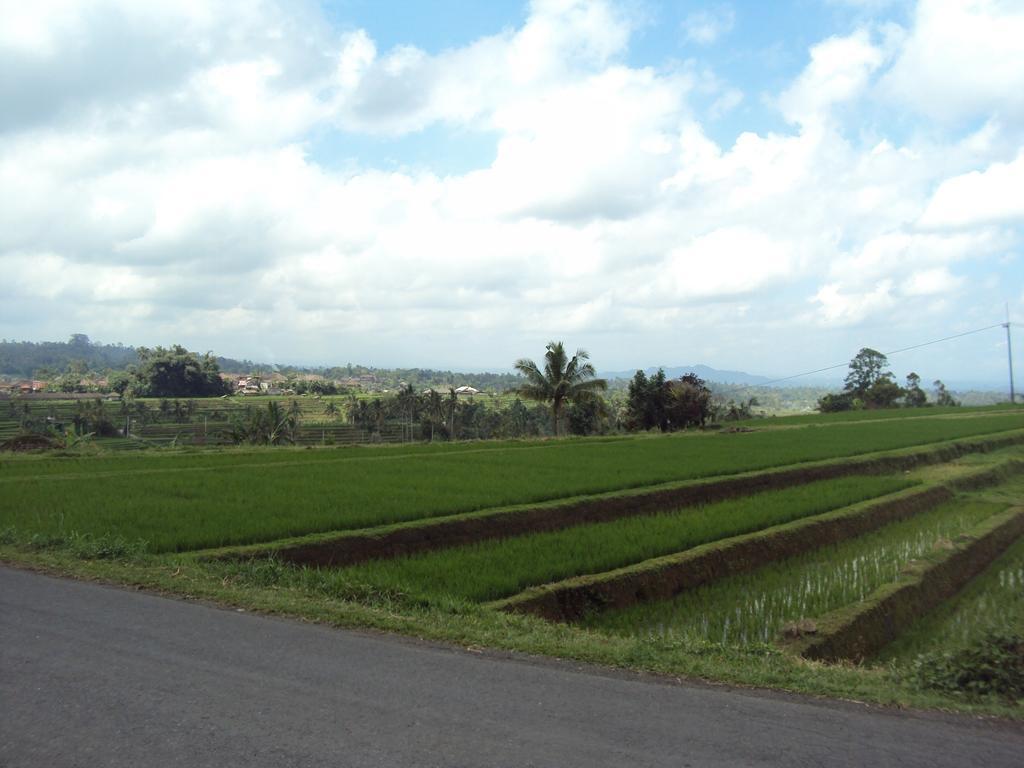 Teras Subak Jatiluwih Appartement Buitenkant foto